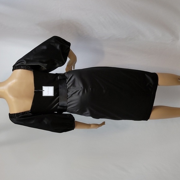 PREMIER Amour Short Sleeve Sheath Dress - Picture 12 of 17